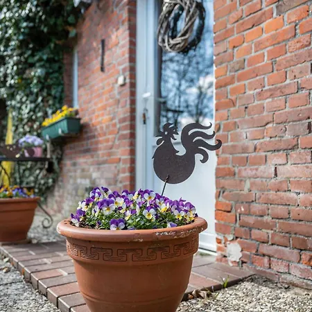 Sommerwind Apartament