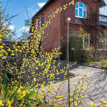 Sommerwind Schulp (Dithmarschen)