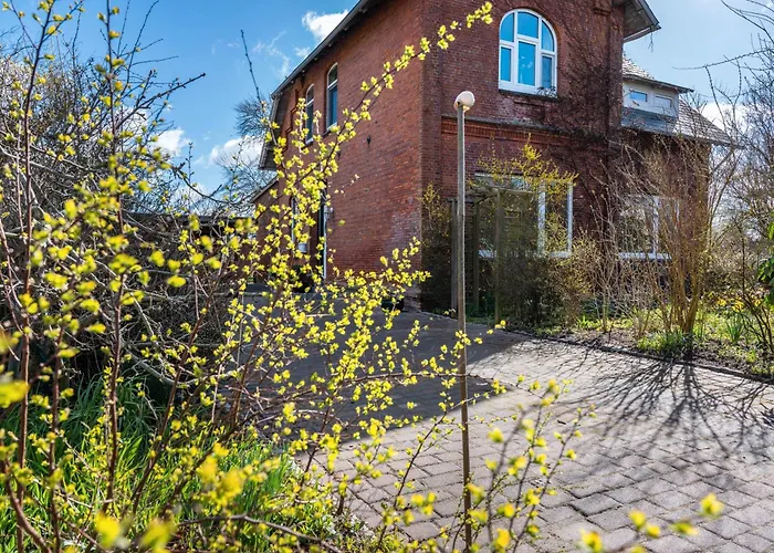 Sommerwind Schulp (Dithmarschen)